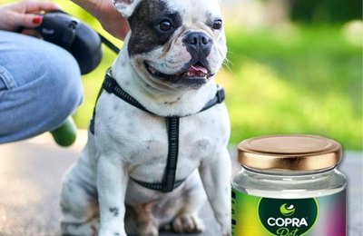 Copra lança produto pet desenvolvido em parceria com IEL/AL e CNPq