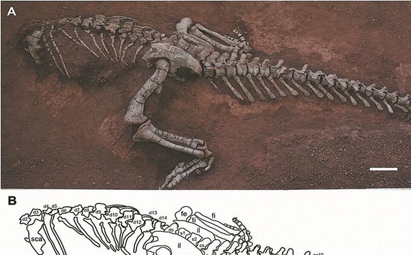 Cientistas chineses identificam nova espécie de dinossauro
