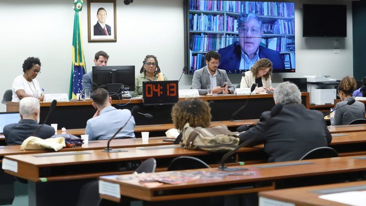 Relatora defende capacitação de agentes de segurança contra racismo
