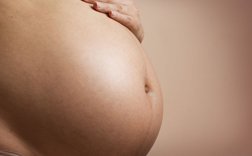 Estudo busca eliminar transmissão vertical de vírus que causa leucemia
