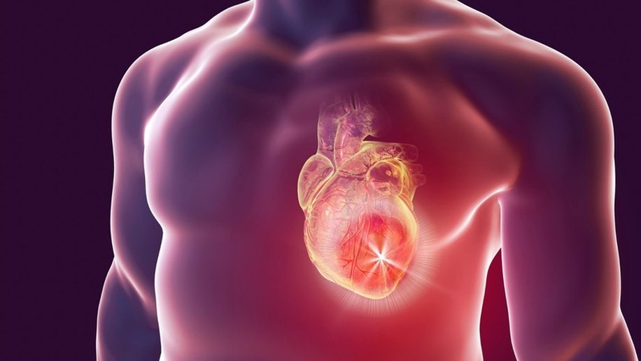 Hábitos saudáveis, acompanhamento médico e controle de fatores de risco podem evitar 80% das doenças do coração