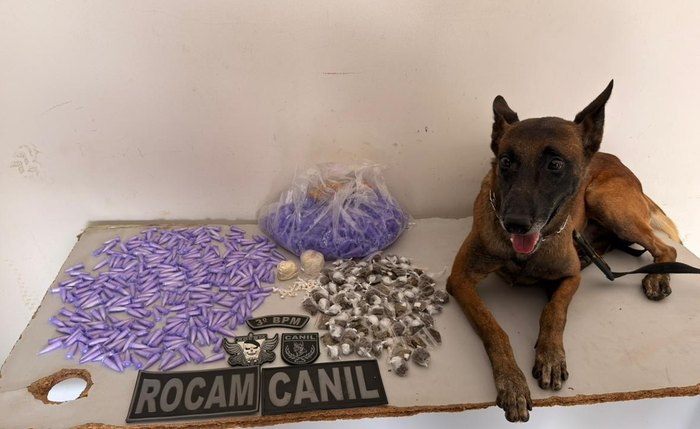 Drogas estavam em uma sacola plástica abandonada