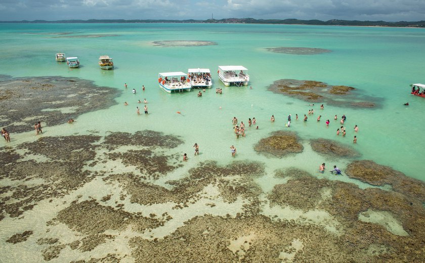 Maragogi conquista 7 prêmios no Maior portal de avaliações sobre turismo do mundo