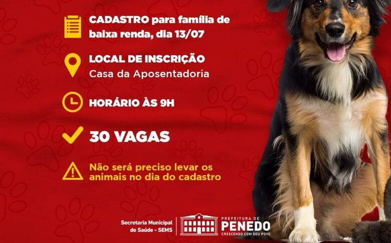 Programa Castrapet abre novo cadastro nesta quarta-feira, 13, em Penedo