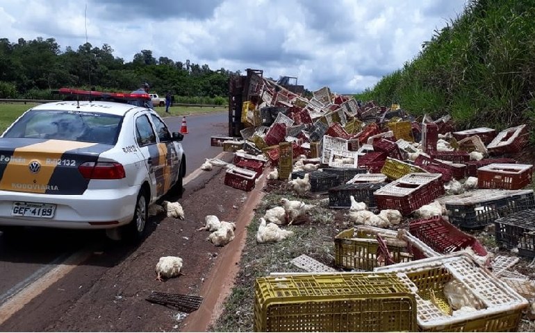 Caminhão com galinhas tomba e carga vira almoço de moradores na zona oeste do Rio