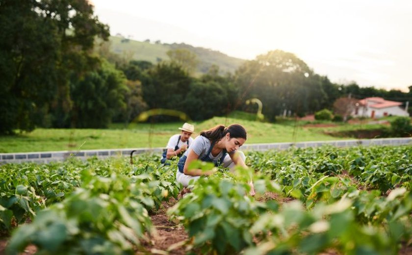 Nova lei busca fortalecer a permanência dos jovens no campo