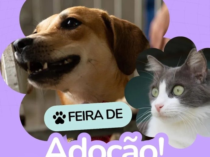 Feira de adoção: uma chance de dar um novo lar para cães e gatos de forma responsável