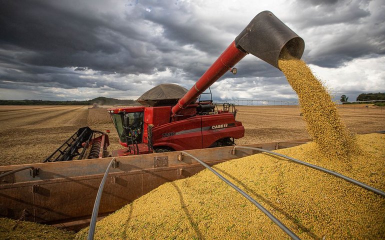 Produção de grãos deve crescer 14% e chegar a 340 milhões de toneladas