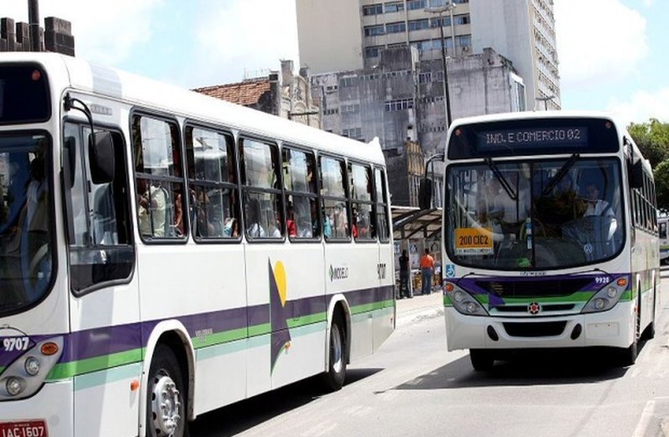 onibus