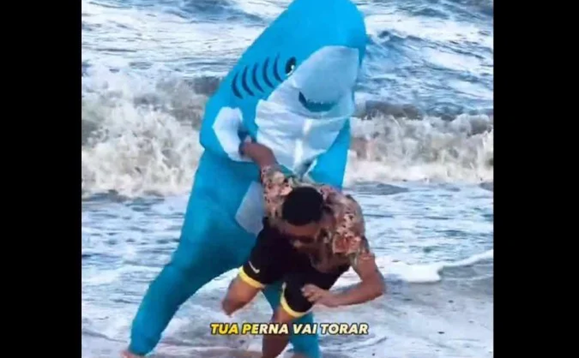 Estudantes de Recife lançam campanha contra ataques de tubarão