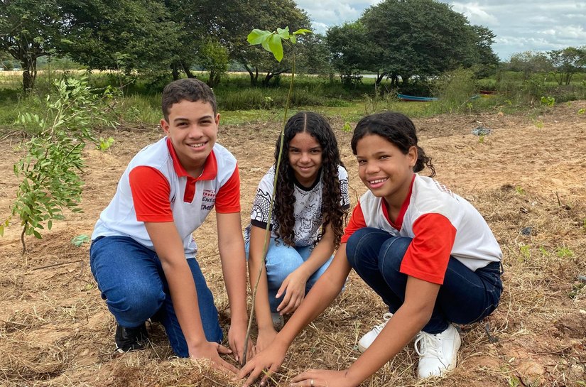 IMA promove plantio de mudas nas margens do rio São Francisco, em Penedo