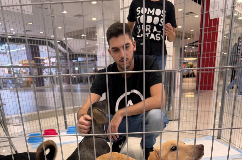Pets resgatados pelo Projeto Anjos de Patas participam de evento de adoção no Sam´s Club Maceió