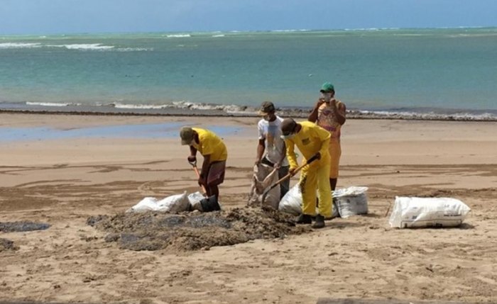 Pessoas recolhem pedaços do óleo na praia de Japaratinga; Pajuçara e Ponta Verde podem ser as próximas