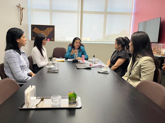 Secretaria da Mulher debate violência doméstica com bancada feminina da ALE