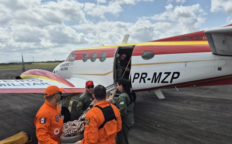 DEA promove duas transferências aéreas interestaduais em apoio a pacientes