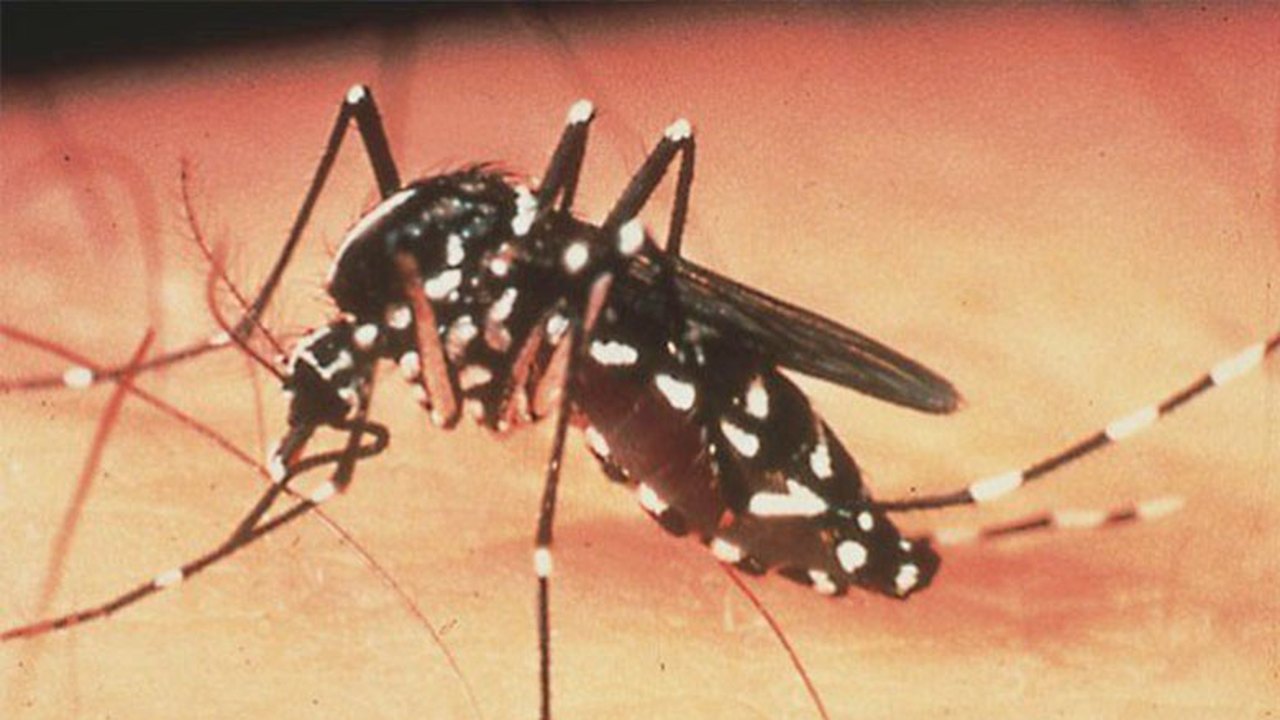 Saúde promove ação de prevenção contra Dengue, Zika e Chikungunya