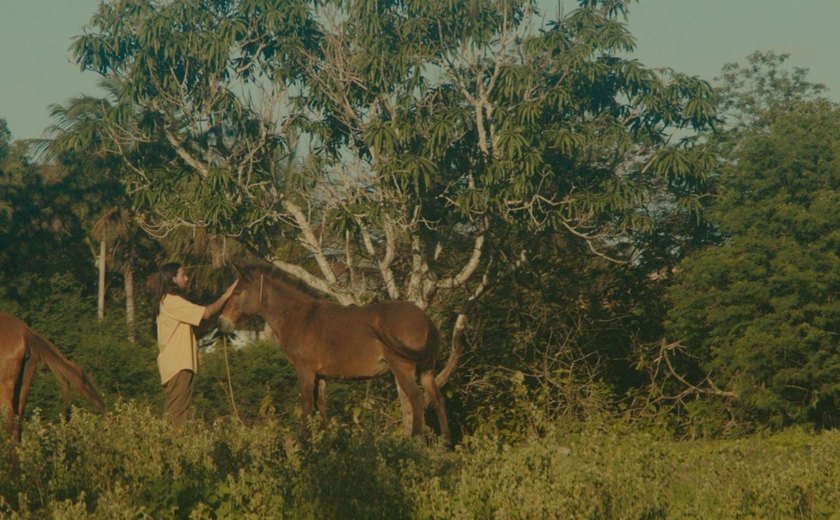Mago Véio transforma saudade em arte no videoclipe “Toada a Galope”