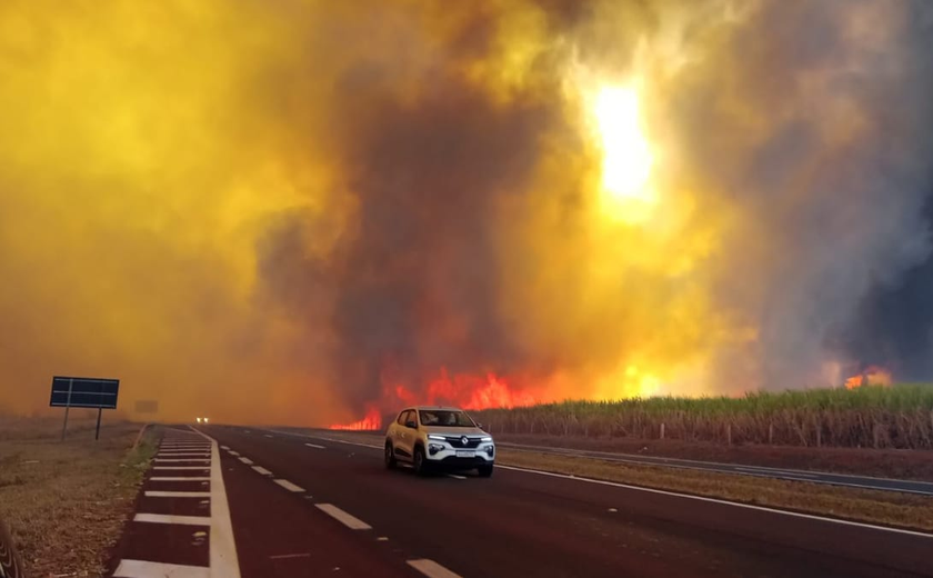 Governo de São Paulo cria gabinete de crise para combate a incêndios