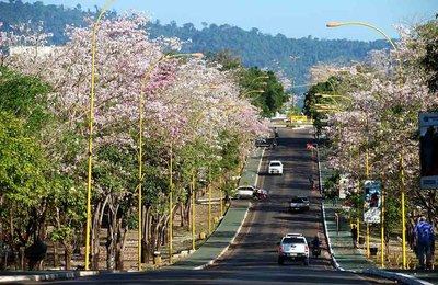 CNM celebra dia internacional do turismo com série sobre boas práticas 