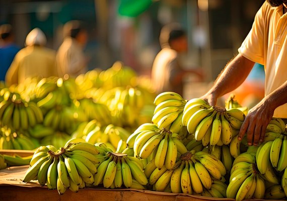 Banco do Nordeste fortalece bananicultura no leste alagoano