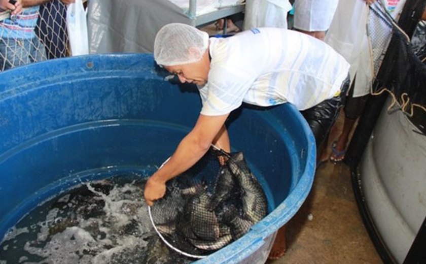 Feira do Peixe Vivo aproxima consumidores e produtores de pescado