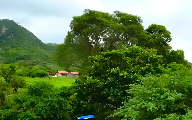 Prefeitura de Pão de Açúcar fortalece agricultura familiar com Programa de Aração de Terras