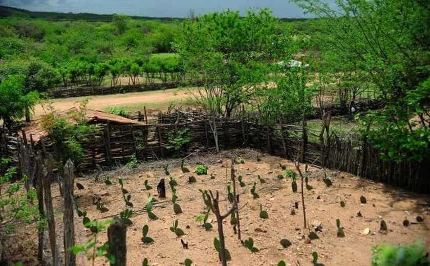 Técnicas para armazenar água e produzir alimentos ajudam a viver no Semiárido