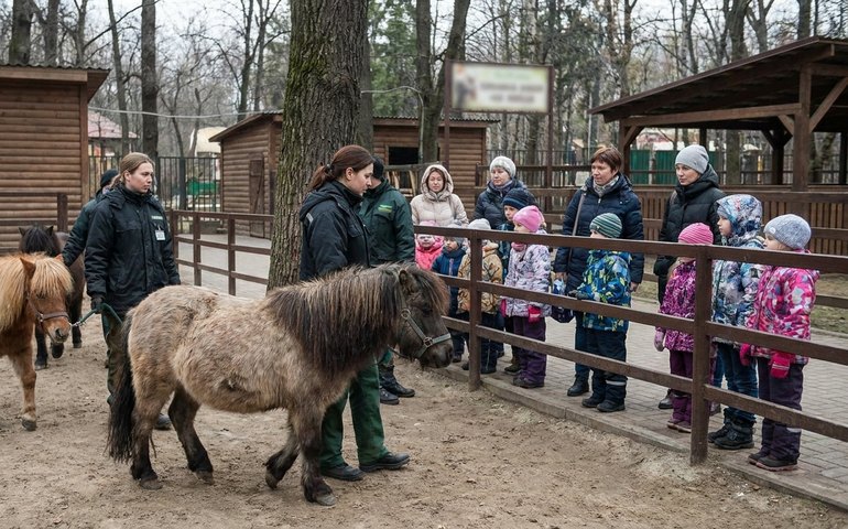 Pôneis encerram ano letivo com aula aberta no Zoológico de Moscou