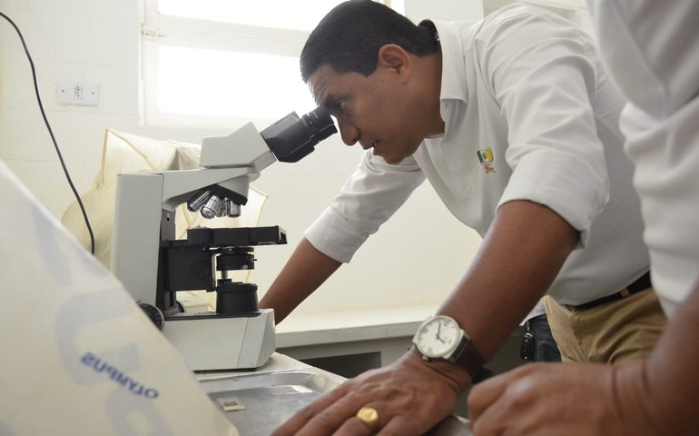 Laboratório Remi Maia: serviços desafogam demanda reprimida de marcações de exames em Palmeira