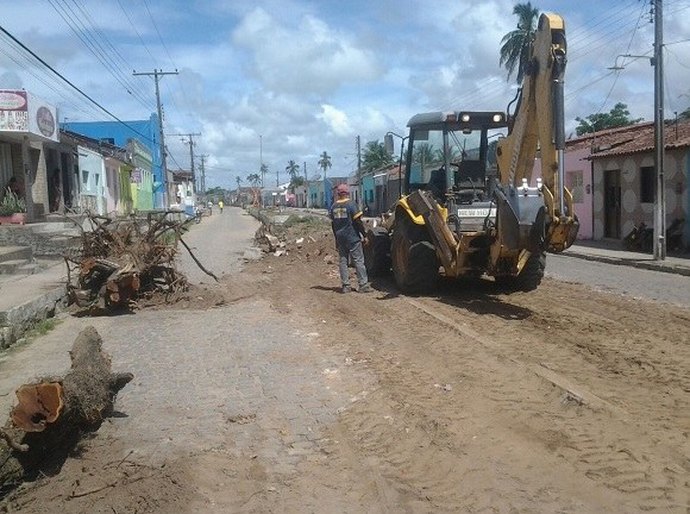 Prefeitura de Quebrangulo é autuada por supressão de árvores