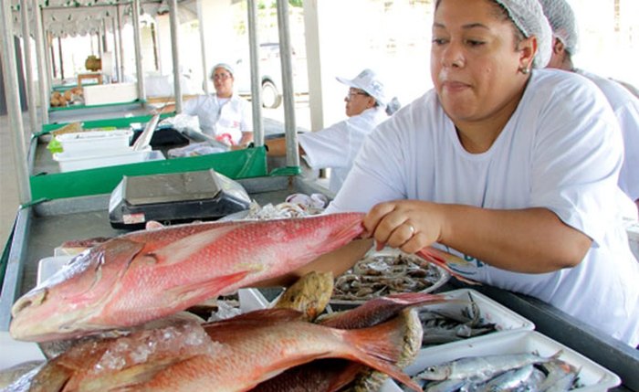 Feira do Peixe Vivo acontece nos dias 17 e 18 no Parque da Pecuária