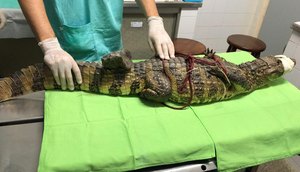 WhatsApp_Image_2021-06-17_at_13.32.29.jpeg / Foto: ascom UFS