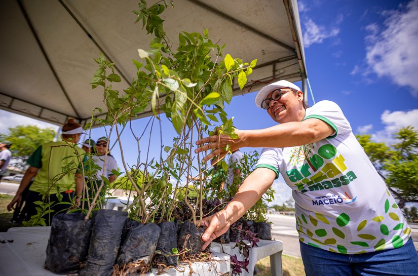 Mirante da Santa Amélia receberá quarta etapa do projeto Arborizar é Massa
