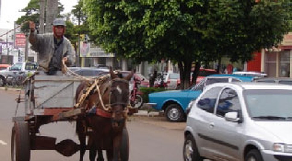 Carroceiros / Foto: PMA
