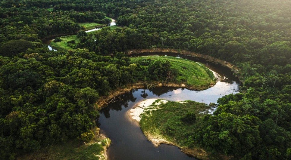 Amazônia-brasileira-1 / Foto: Foto: Reprodução