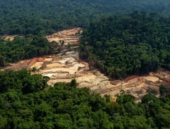 Mesmo com as operações dentro da TI, o garimpo persiste em diversos pontos 