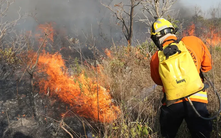 SP tem maior número de queimadas desde 1998, com 3,1 mil focos em agosto