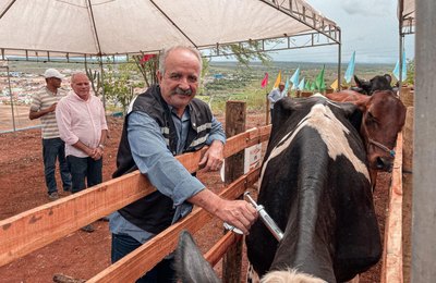 Adeal inicia oficialmente a campanha de vacinação contra aftosa de 2022