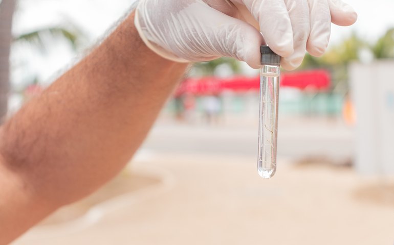 Saúde de Maceió realiza ações continuadas para combater Aedes aegypti
