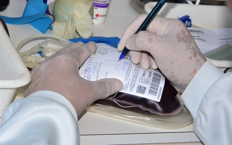 Hemoal realiza coletas externa de sangue em Arapiraca e Porto Calvo nesta terça-feira (26)