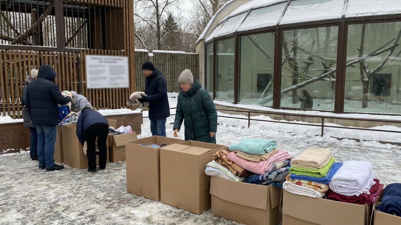 Zoológico de Moscou arrecada cobertores para primatas