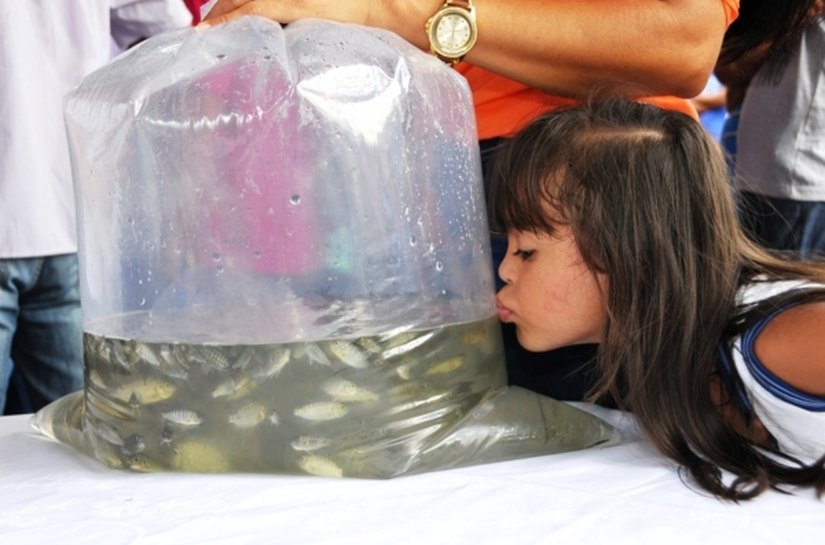 Atividades da agricultura familiar são fortalecidas na região Norte