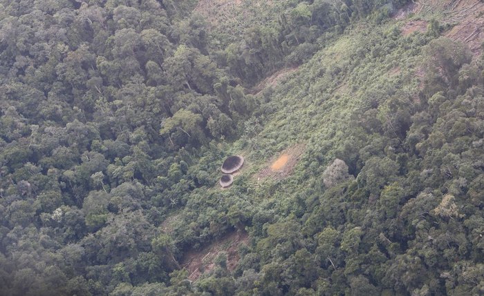 Yanomami