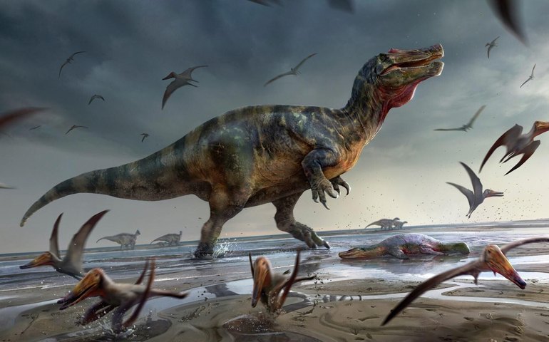 Cientistas revelam no deserto de Gobi garras de espécie de dinossauro desconhecida antes (FOTOS)