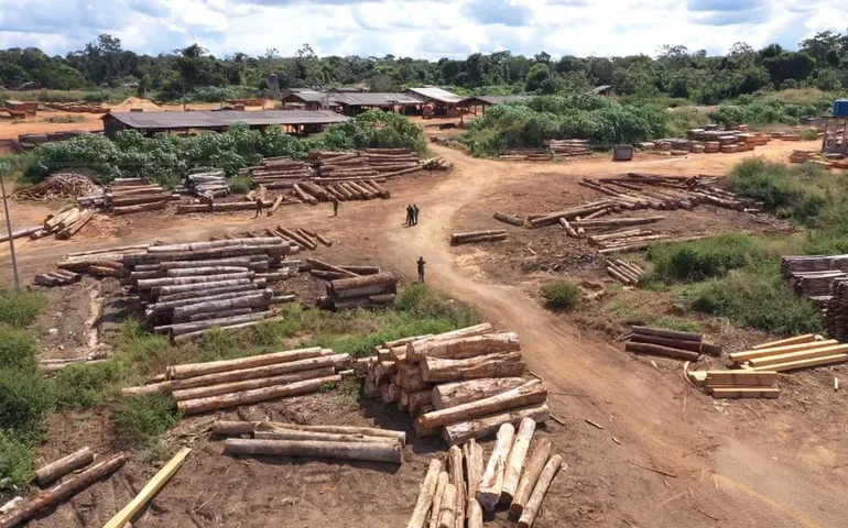 Grilagem digital: metade de área indígena no PA foi registrada em nome de engenheiro