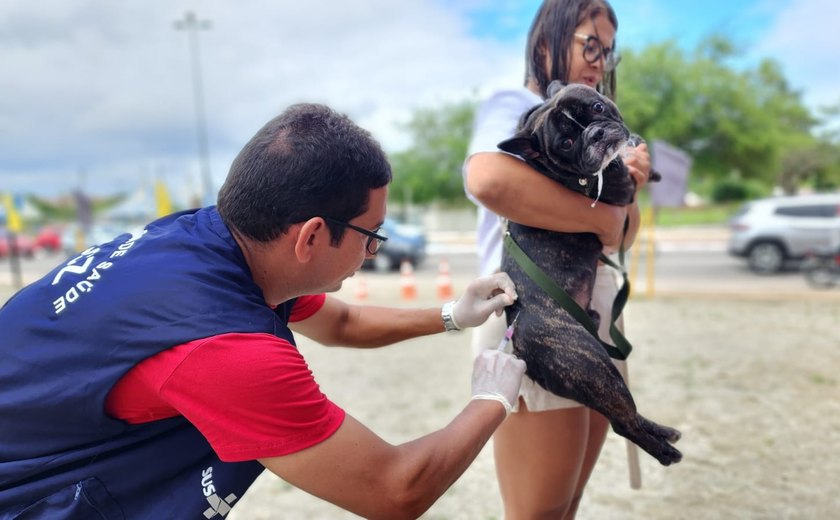 Arapiraca inicia campanha de vacinação antirrábica para cães e gatos