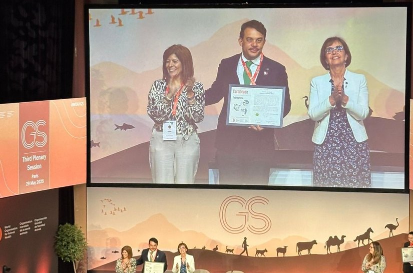 Alagoas conquista certificação internacional de zona livre da febre aftosa sem vacinação