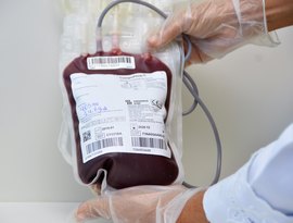 Hemoal faz coletas externas de sangue em Palmeira dos Índios e União dos Palmares nesta terça-feira (20)