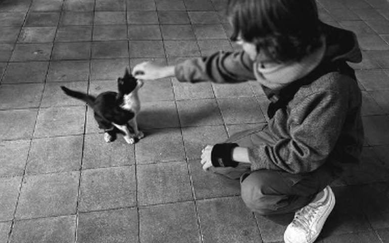 Sandy posta fotos raras do filho: '11 anos de muito amor'