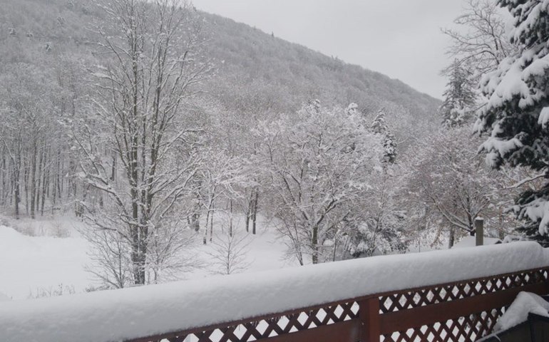Neve cobre nordeste dos EUA, fecha escolas e cancela voos